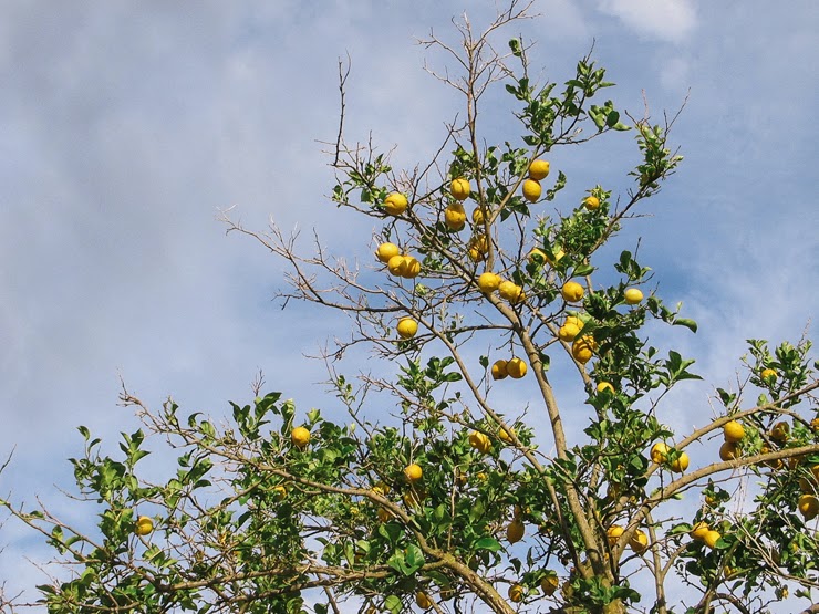 santa agnès de corona