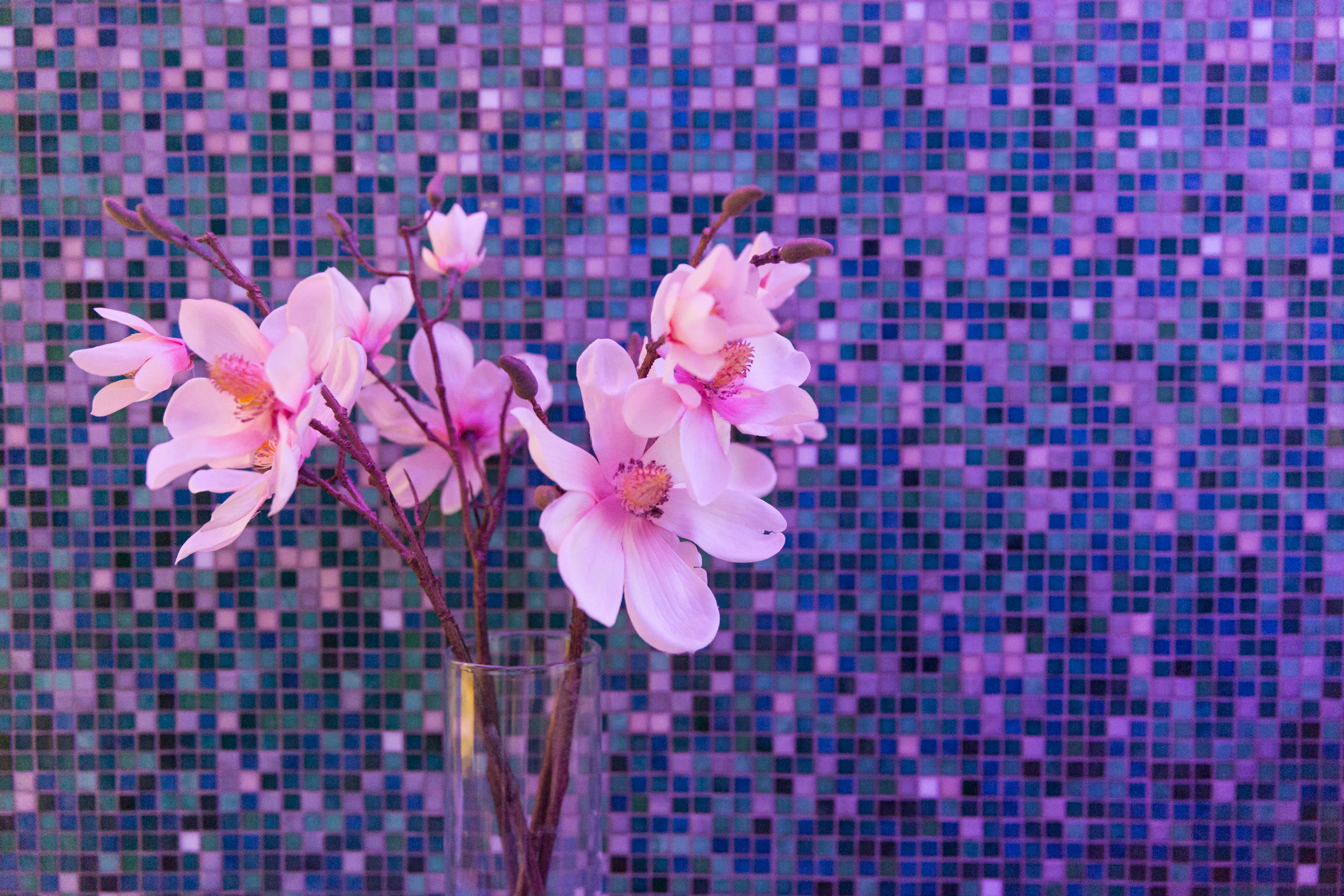 Deep Nature Spa Brussels