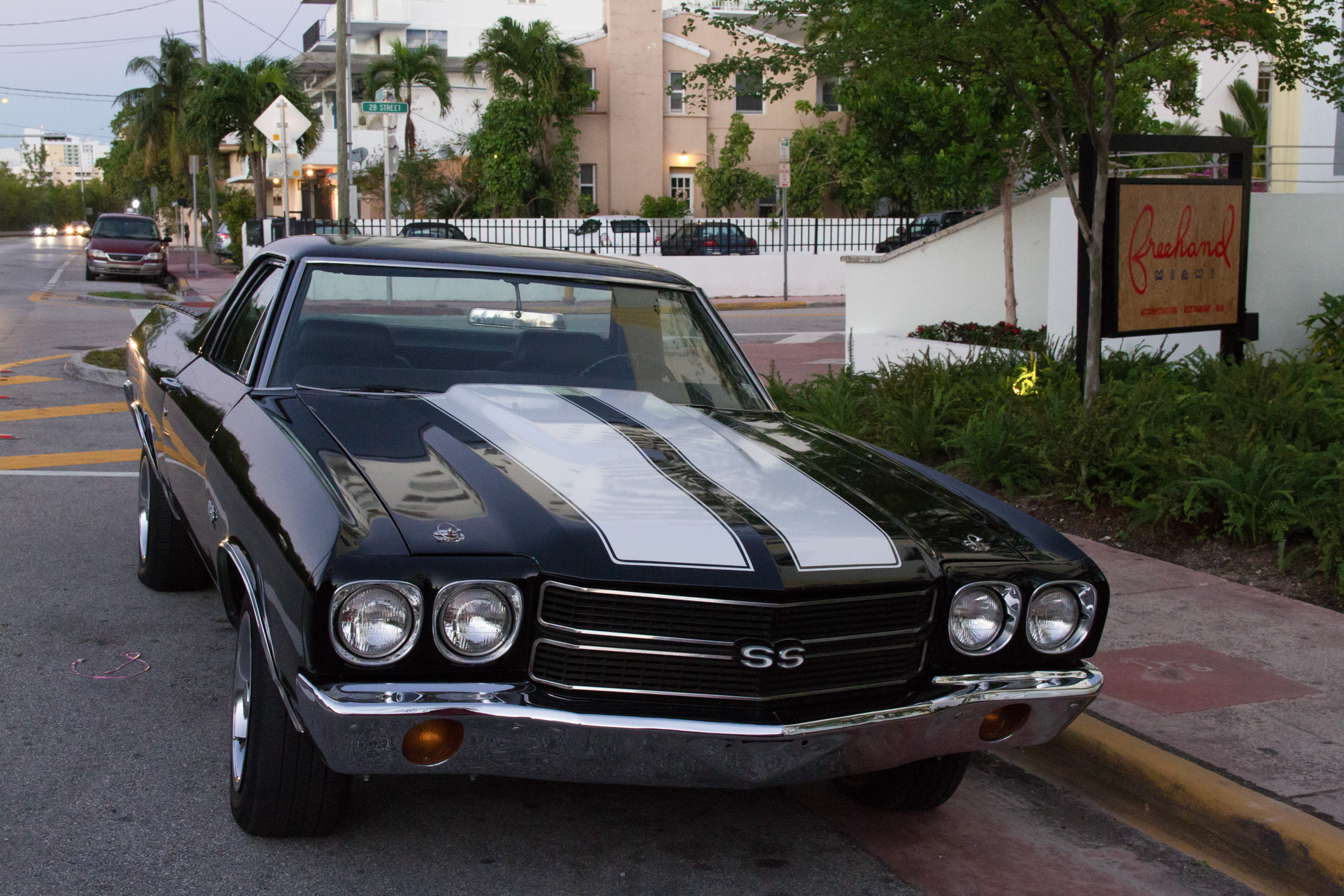 TRAVEL-Miami-Freehand-5