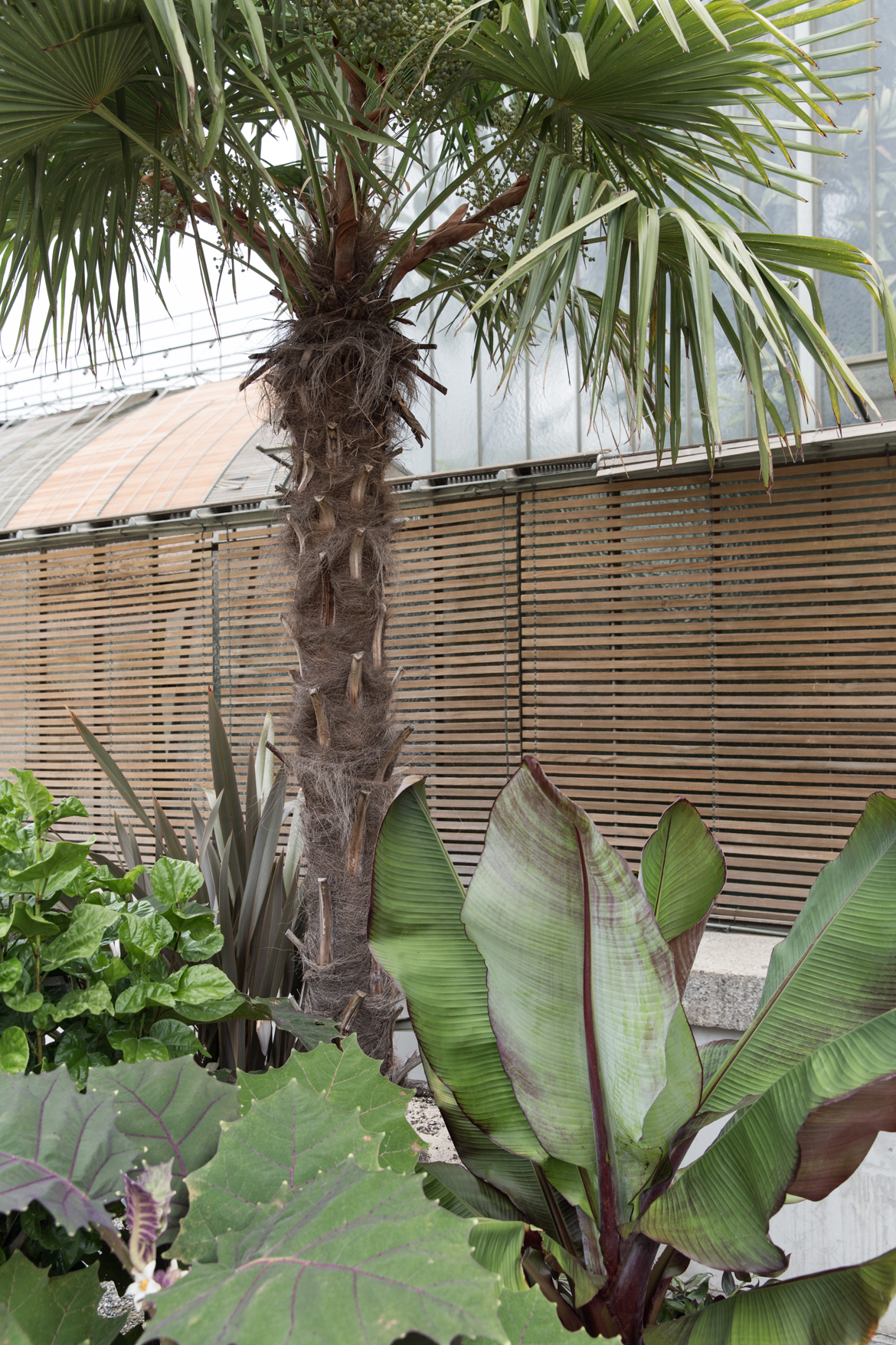 Josefina luxury diaper bags