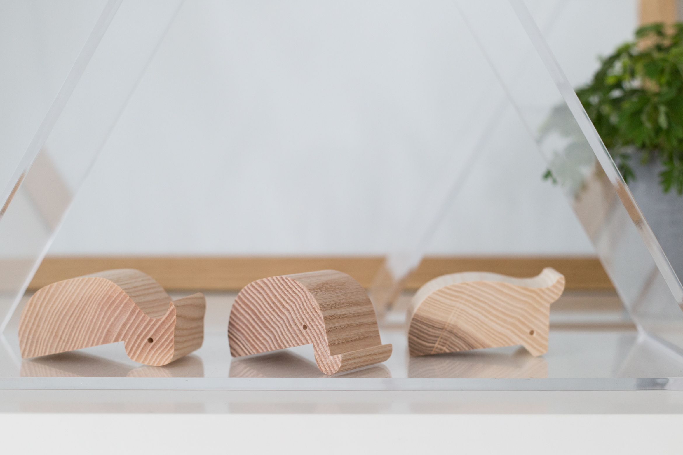 DESIGN-Designerbox-Bliss-Concept-5