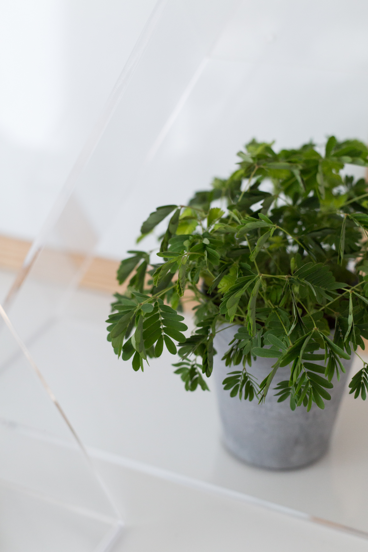 DESIGN-Designerbox-Bliss-Concept-8