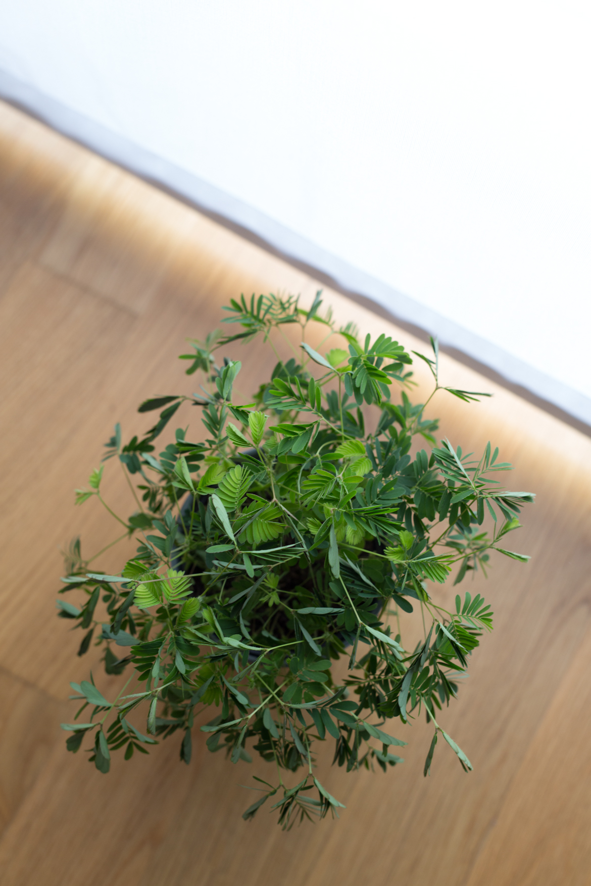 DESIGN-Designerbox-Bliss-Concept-9