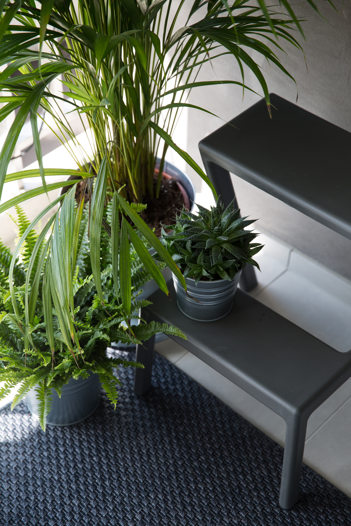 Indian Summer in Switzerland