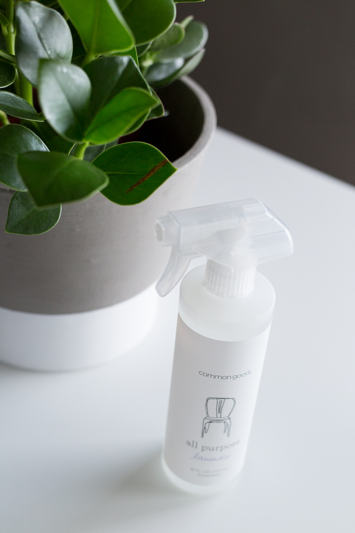 LIFE-Comptoir-des-Objets-Common-Good-b-4