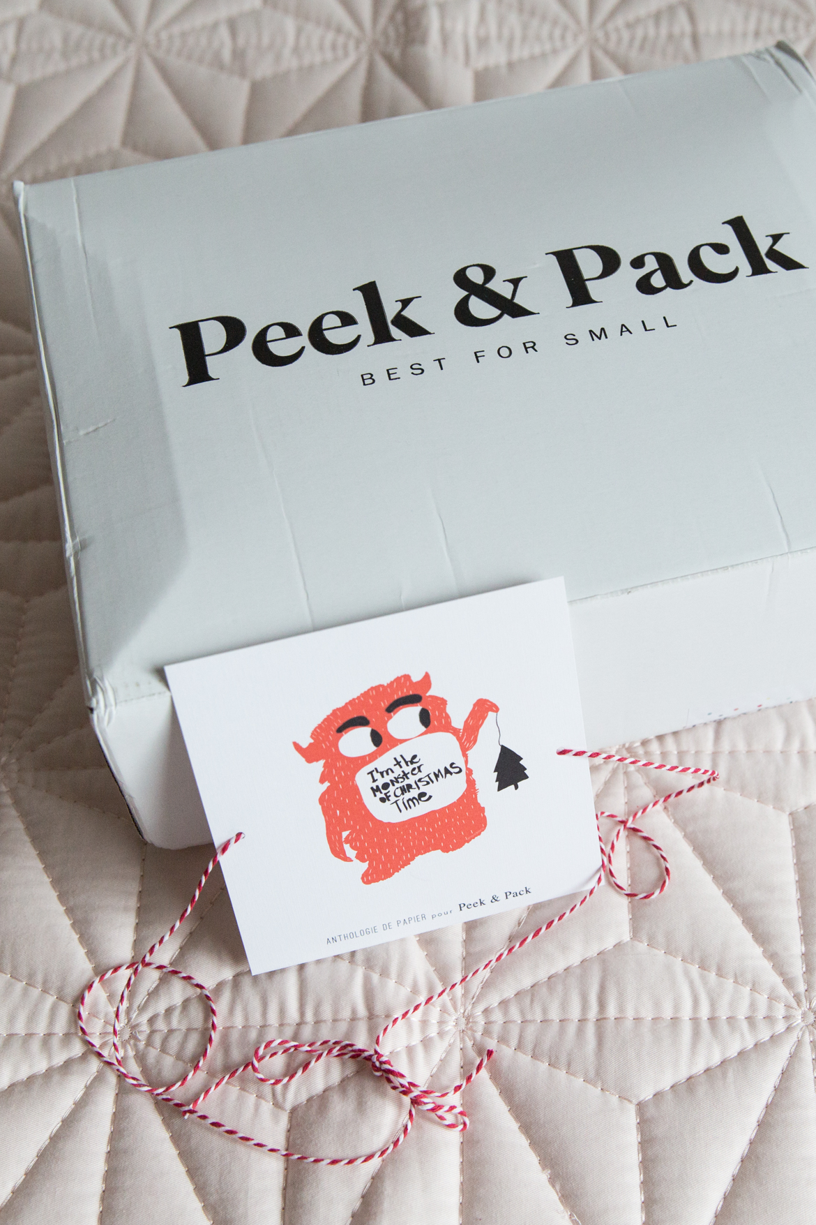BABY-Peek-and-Pack-2